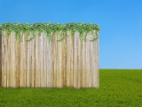 Mata osłonowa bambusowa 1x3m