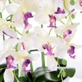 Storczyk orchidea sztuczna 24 kwiaty biała