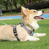 Szelki treningowe spacerowe dla psa ASTRO błękitne rozmiar S