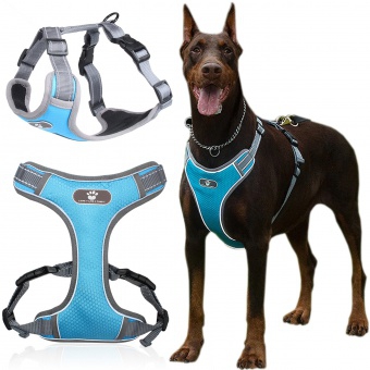 Szelki treningowe spacerowe dla psa ASTRO błękitne rozmiar XL