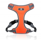 Szelki treningowe spacerowe dla psa ASTRO pomarańczowe rozmiar XL