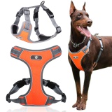 Szelki treningowe spacerowe dla psa ASTRO pomarańczowe rozmiar XL